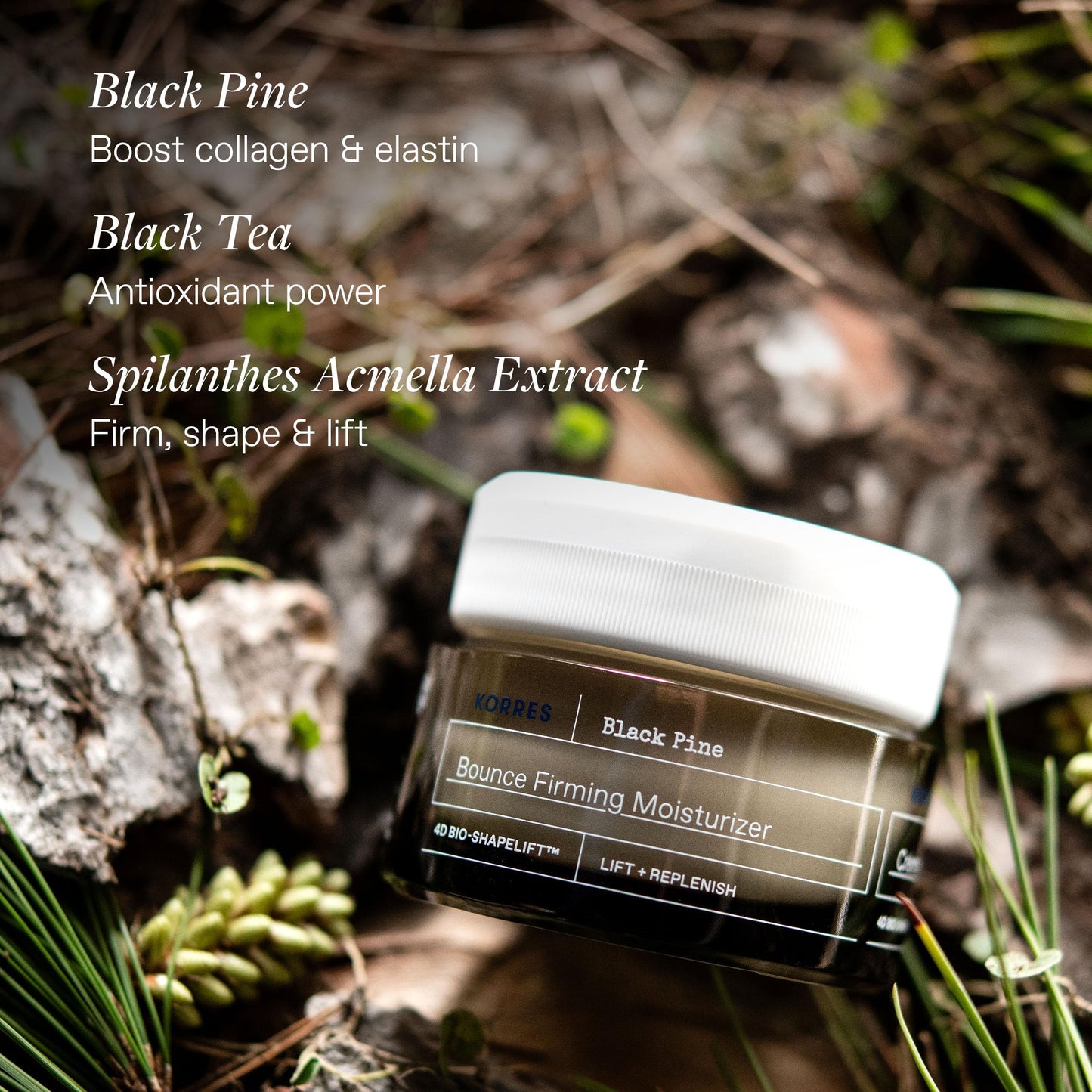 KORRES Black Pine Bounce Firming Moisturizer, Plumping & Hydrating Face Cream with Black Pine Extract, Vegan & Silicone Free Anti-Aging Skincare for Fine Lines & Wrinkles, Made in Greece, 1.35 Fl Oz
